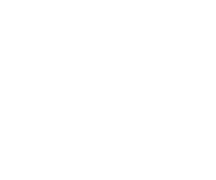 VANT
